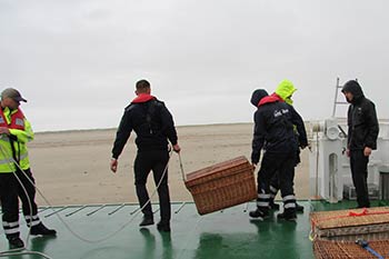 Angestellte der Seehundstation Norddeich bei der Arbeit