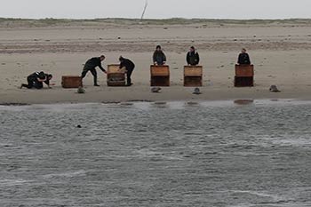 Angestellte der Seehundstation Norddeich bei der Arbeit am Meer. 